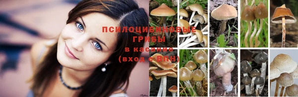 меф Армянск