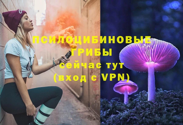 ГАЛЛЮЦИНОГЕННЫЕ ГРИБЫ Арсеньев